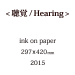 聴覚の説明