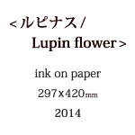 ルピナスの説明