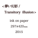 儚い幻影の説明