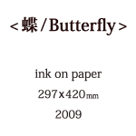 蝶の説明